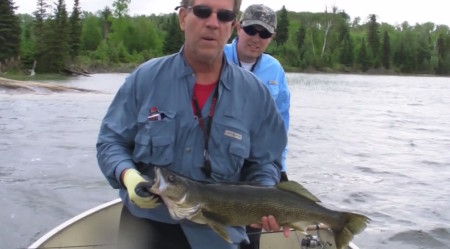 Walleye